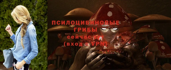 мет Богородицк